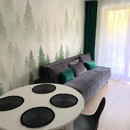 Skalisty Apartment *